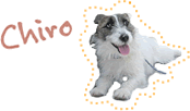 Chiro