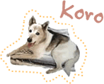 Koro