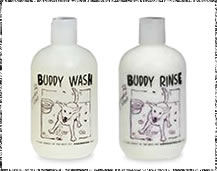 Buddy Washx_[~g@Vv[/RfBVi[