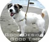 Good Design Harness