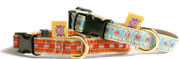 Lolo Dog Collar 