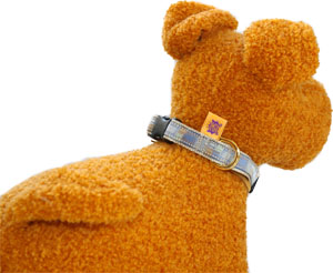 Modern Square Dog collar